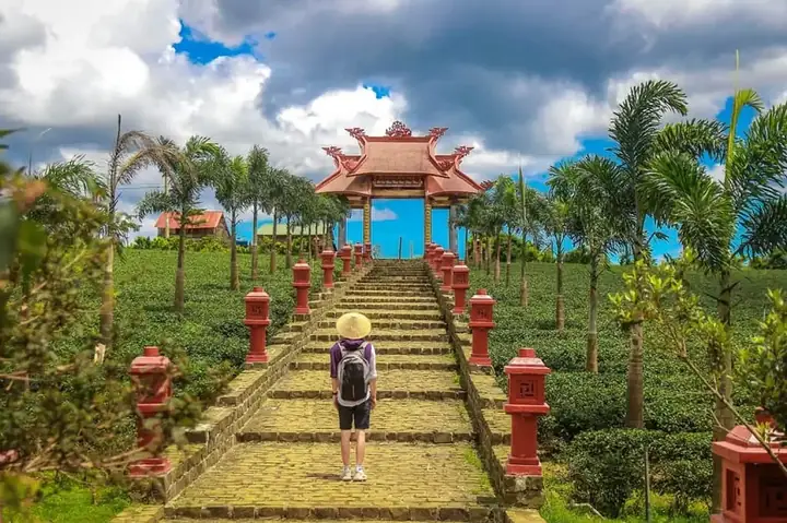 Du Lịch Bảo Lộc Có Gì Hấp Dẫn? Top 15+ Địa Điểm Check-in & Trải Nghiệm Không Thể Bỏ Lỡ