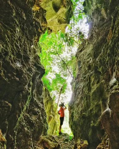 Khám Phá Vườn Quốc Gia Bến En Thanh Hóa: Kinh Nghiệm Du Lịch, Cảnh Quan Và Hoạt Động Khám Phá Vườn Quốc Gia Bến En Thanh Hóa: Kinh Nghiệm Du Lịch, Cảnh Quan Và Hoạt Động