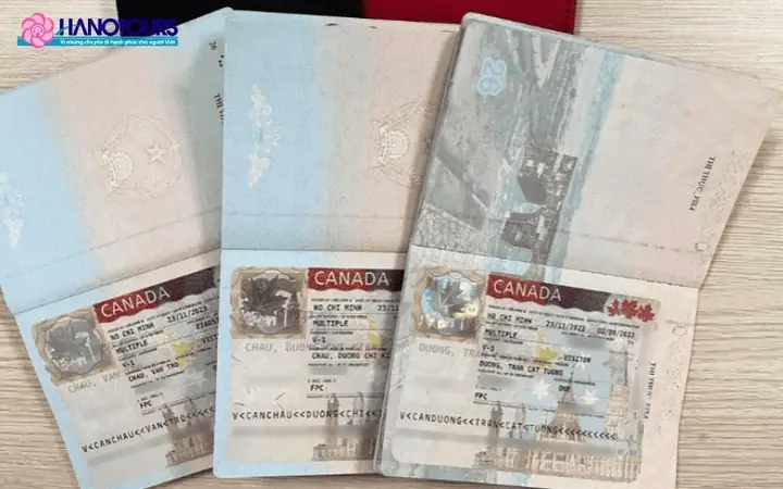 Du Lịch Canada Cần Điều Kiện Gì? Hướng Dẫn Xin Visa Chi Tiết 2026 Du Lịch Canada Cần Điều Kiện Gì? Hướng Dẫn Xin Visa Chi Tiết 2026