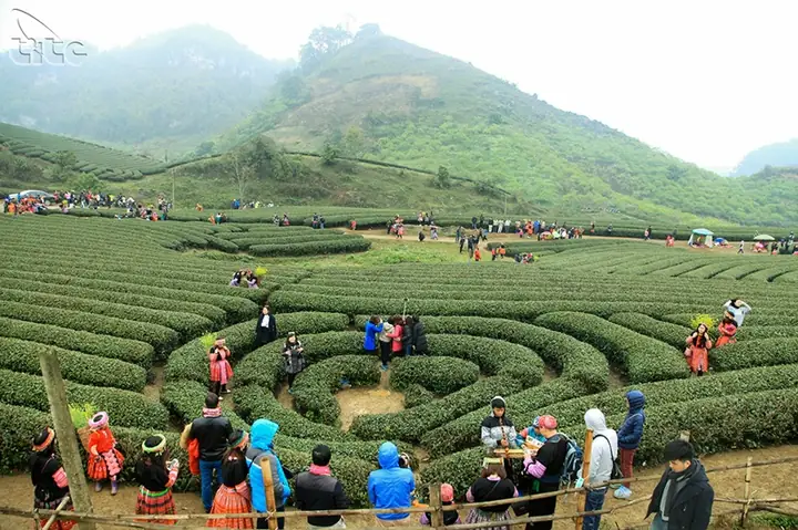 Du Lịch Cao Nguyên Mộc Châu: Cẩm Nang Toàn Diện Từ A-z Cho Trải Nghiệm Tuyệt Vời