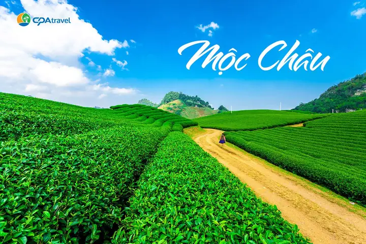 Du Lịch Cao Nguyên Mộc Châu: Cẩm Nang Toàn Diện Từ A-z Cho Trải Nghiệm Tuyệt Vời
