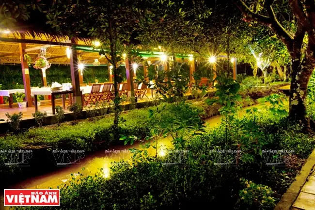 Du Lịch Cù Lao Tân Phong (tiền Giang): Kinh Nghiệm Khám Phá Ốc Đảo Xanh