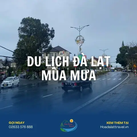 Du Lịch Đà Lạt Ăn Gì? Top 25 Món Ngon Nhất Định Phải Thử Kèm Địa Chỉ 77 Du Lịch Đà Lạt Ăn Gì? Top 25 Món Ngon Nhất Định Phải Thử Kèm Địa Chỉ