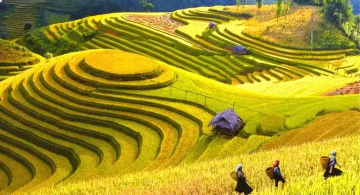 Du Lịch Điện Biên Có Gì Hấp Dẫn: Khám Phá Điểm Đến, Kinh Nghiệm Và Ẩm Thực 84 Du Lịch Điện Biên Có Gì Hấp Dẫn: Khám Phá Điểm Đến, Kinh Nghiệm Và Ẩm Thực