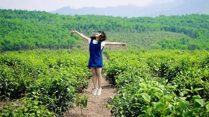 Khám Phá Đông Giang Quảng Nam: Trọn Bộ Kinh Nghiệm Du Lịch Cổng Trời & Điểm Đến Hấp Dẫn Khám Phá Đông Giang Quảng Nam: Trọn Bộ Kinh Nghiệm Du Lịch Cổng Trời & Điểm Đến Hấp Dẫn