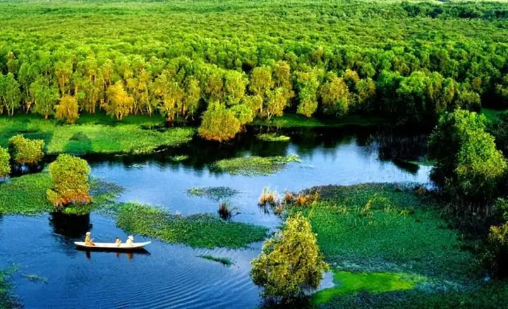 Kinh Nghiệm Du Lịch Đồng Tháp Tự Túc: Ăn Gì, Chơi Gì, Đi Lại Như Thế Nào?