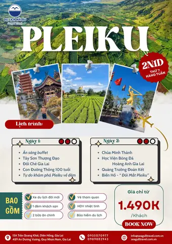 Du Lịch Hải Âu Quy Nhơn: Trải Nghiệm Trọn Gói Và Khách Sạn Đẳng Cấp