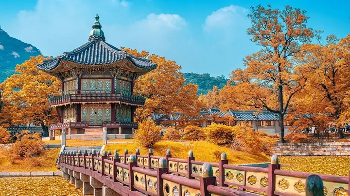 Du Lịch Hàn Quốc Bao Nhiêu Tiền 1 Người? Chi Phí Chi Tiết 2024-2025
