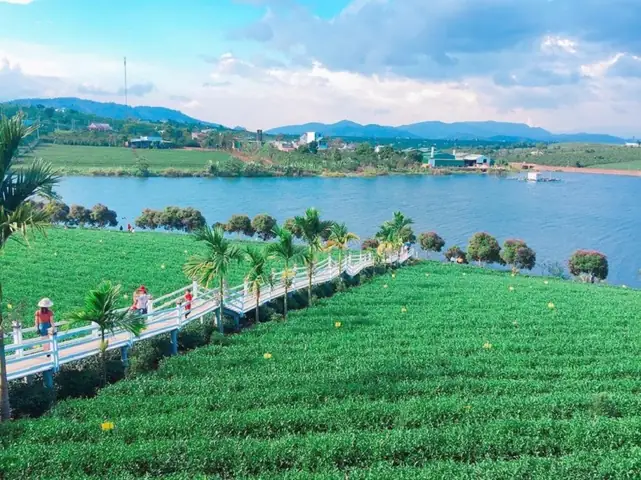 Du Lịch Lâm Hà Lâm Đồng: Kinh Nghiệm A-z, Địa Điểm Hấp Dẫn & Lưu Ý