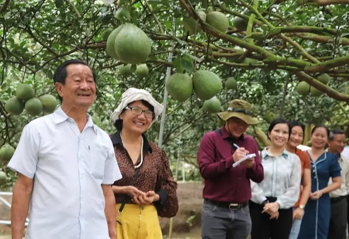 Làng Bưởi Tân Triều: Khám Phá Điểm Du Lịch Sinh Thái Hấp Dẫn, Đặc Sản Đồng Nai