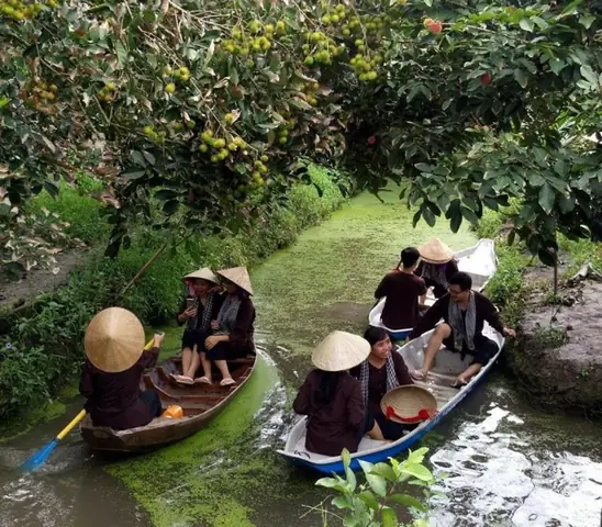 Du Lịch Miệt Vườn Ở Đâu? Khám Phá Địa Điểm Hấp Dẫn Nhất 2024