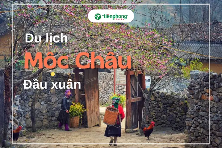 Du Lịch Mộc Châu Đầu Xuân: Khám Phá Thiên Đường Hoa Và Trải Nghiệm Mới Lạ