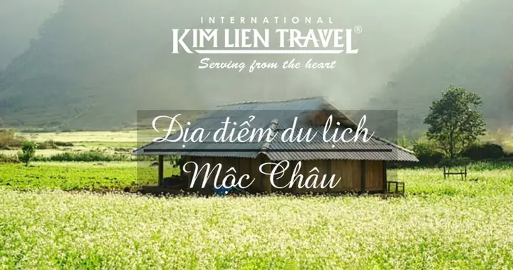 Cẩm Nang Du Lịch Mộc Châu Toàn Diện: Khám Phá Vẻ Đẹp Sơn La Từ A-z Cẩm Nang Du Lịch Mộc Châu Toàn Diện: Khám Phá Vẻ Đẹp Sơn La Từ A-z