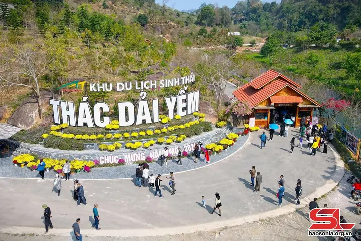 Cẩm Nang Du Lịch Mộc Châu Toàn Diện: Khám Phá Vẻ Đẹp Sơn La Từ A-z Cẩm Nang Du Lịch Mộc Châu Toàn Diện: Khám Phá Vẻ Đẹp Sơn La Từ A-z