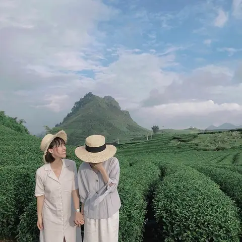 Du Lịch Mộc Châu Tháng 3: Khám Phá Mùa Hoa Ban, Lễ Hội Và Kinh Nghiệm Chi Tiết 32 Du Lịch Mộc Châu Tháng 3: Khám Phá Mùa Hoa Ban, Lễ Hội Và Kinh Nghiệm Chi Tiết