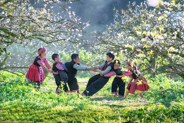 Du Lịch Mộc Châu Tháng 3: Khám Phá Mùa Hoa Ban, Lễ Hội Và Kinh Nghiệm Chi Tiết
