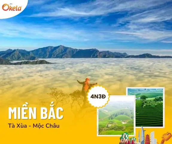 Kinh Nghiệm Du Lịch Tà Xùa Mộc Châu: Lịch Trình, Di Chuyển Và Địa Điểm Check-in "săn Mây" Kinh Nghiệm Du Lịch Tà Xùa Mộc Châu: Lịch Trình, Di Chuyển Và Địa Điểm Check-in "săn Mây"
