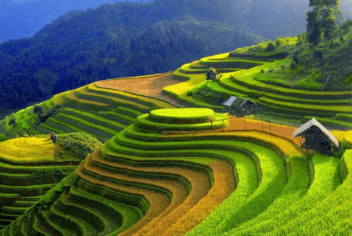 Khám Phá Thành Phố Yên Bái: Cẩm Nang Du Lịch Từ A-z Cho Mọi Hành Trình