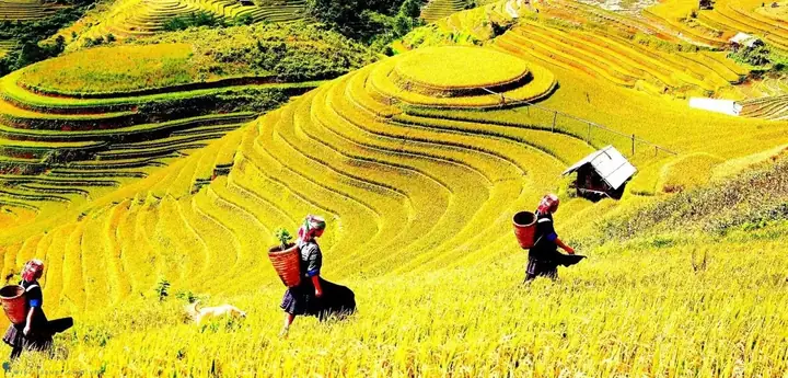 Khám Phá Thành Phố Yên Bái: Cẩm Nang Du Lịch Từ A-z Cho Mọi Hành Trình