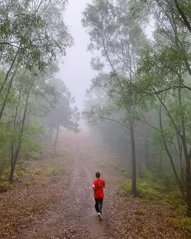 Khám Phá Yên Dũng Bắc Giang: Top Địa Điểm, Kinh Nghiệm Du Lịch Tâm Linh & Sinh Thái Khám Phá Yên Dũng Bắc Giang: Top Địa Điểm, Kinh Nghiệm Du Lịch Tâm Linh & Sinh Thái