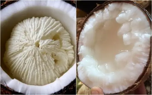 Dừa Sáp Để Được Bao Lâu Và Cách Bảo Quản Tươi Ngon