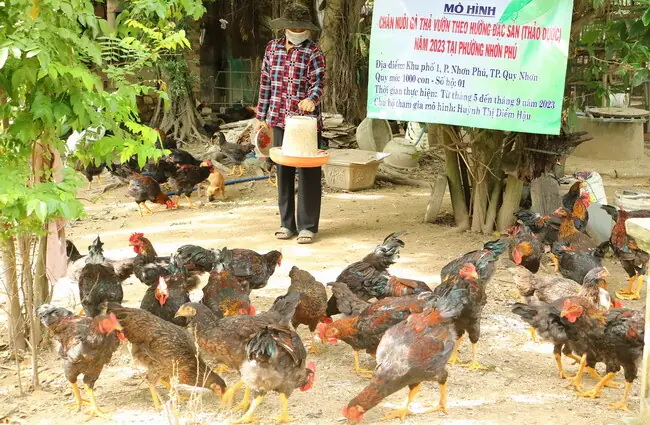 Ga Quy Nhơn Là Gì? Thông Tin Chi Tiết Về Vị Trí, Lịch Sử Và Hoạt Động