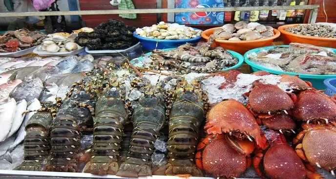 Giá Hải Sản Chợ Cái Dăm Hạ Long: Kinh Nghiệm Mua Sắm Tươi Ngon, Giá Tốt
