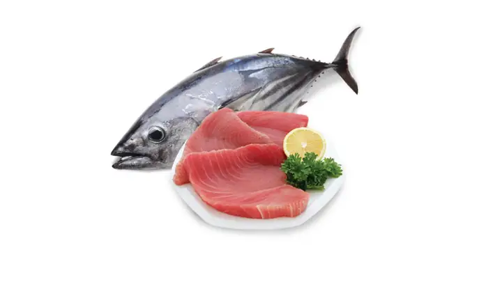 Giá Trị Dinh Dưỡng Của Cá Ngừ Và Những Lợi Ích Cho Sức Khỏe Giá Trị Dinh Dưỡng Của Cá Ngừ Và Những Lợi Ích Cho Sức Khỏe