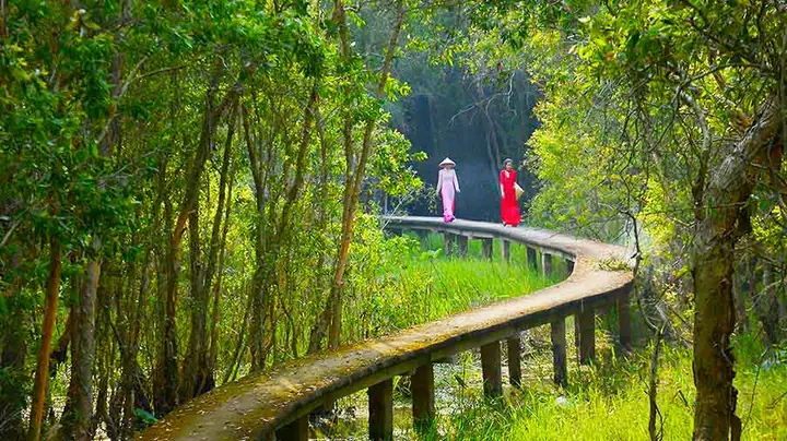 Giá Vé Làng Nổi Tân Lập Mới Nhất 2026: Chi Phí Khám Phá Rừng Tràm Giá Vé Làng Nổi Tân Lập Mới Nhất 2026: Chi Phí Khám Phá Rừng Tràm