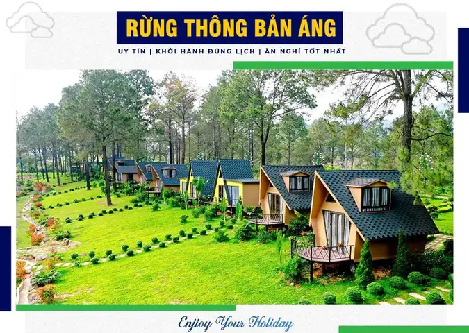 Giá Vé Rừng Thông Bản Áng Mộc Châu: Thông Tin Mới Nhất 2026 60 Giá Vé Rừng Thông Bản Áng Mộc Châu: Thông Tin Mới Nhất 2026