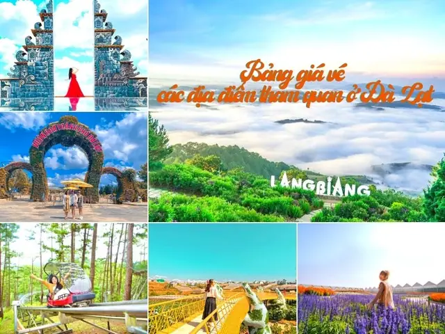 Giá Vé Suối Vàng Đà Lạt: Cập Nhật Mới Nhất 2025 & Kinh Nghiệm Chi Tiết