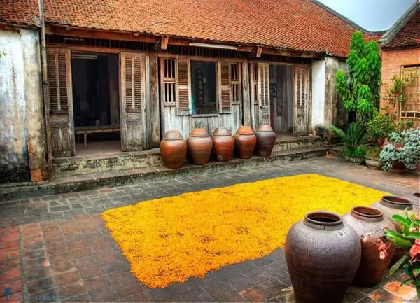 Giá Vé Làng Cổ Đường Lâm Bao Nhiêu? Cập Nhật Mới Nhất 2026 86 Giá Vé Làng Cổ Đường Lâm Bao Nhiêu? Cập Nhật Mới Nhất 2026