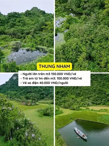 Giá Vé Vườn Chim Thung Nham Ninh Bình: Cập Nhật Mới Nhất 2025 & Kinh Nghiệm Chi Tiết Giá Vé Vườn Chim Thung Nham Ninh Bình: Cập Nhật Mới Nhất 2025 & Kinh Nghiệm Chi Tiết