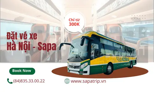 Giá Xe Đi Sapa Khứ Hồi: Thông Tin Chi Tiết & Kinh Nghiệm Đặt Vé Giá Xe Đi Sapa Khứ Hồi: Thông Tin Chi Tiết & Kinh Nghiệm Đặt Vé