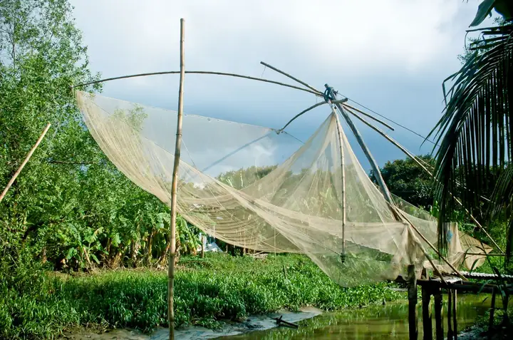 Giăng Lưới Bắt Cá Miền Tây: Hướng Dẫn Chi Tiết & Trải Nghiệm Thực Tế Mùa Nước Nổi Giăng Lưới Bắt Cá Miền Tây: Hướng Dẫn Chi Tiết & Trải Nghiệm Thực Tế Mùa Nước Nổi