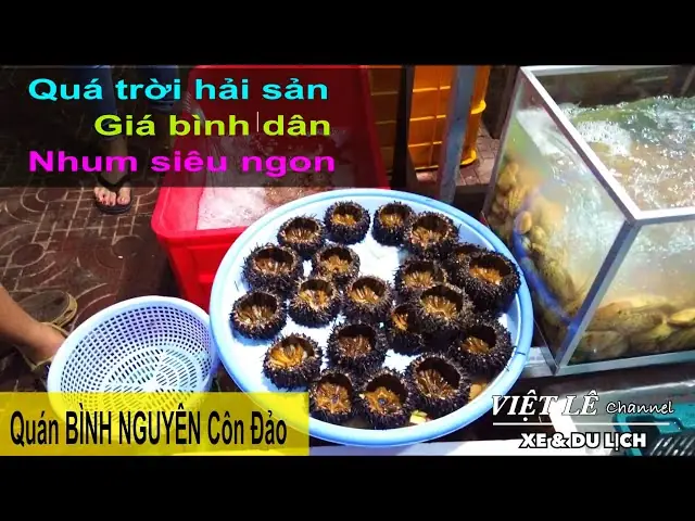 Hải Sản Bình Nguyên Côn Đảo: Quán Ngon, Giá Cả & Kinh Nghiệm Ăn Uống