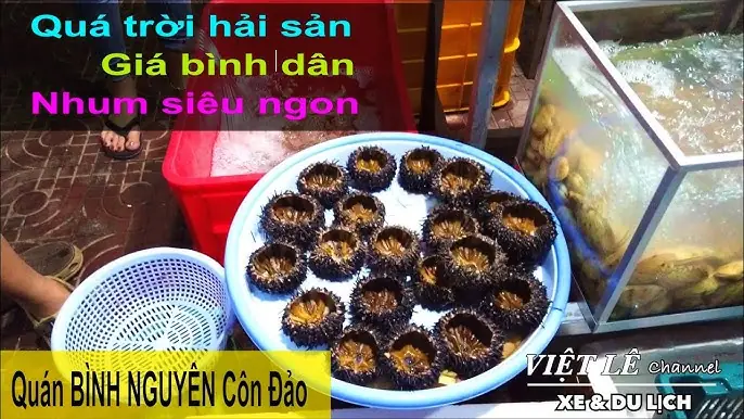 Hải Sản Bình Nguyên Côn Đảo: Quán Ngon, Giá Cả & Kinh Nghiệm Ăn Uống
