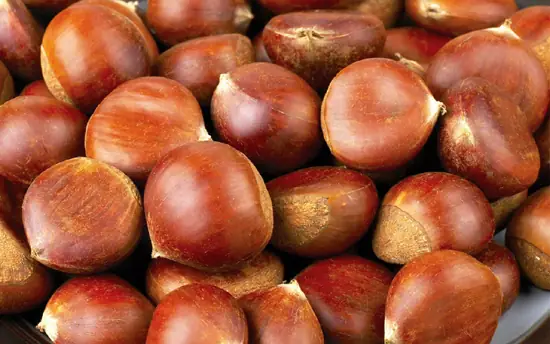 Hạt Dẻ Trùng Khánh Cao Bằng: Nguồn Gốc, Đặc Điểm Và Địa Điểm Mua