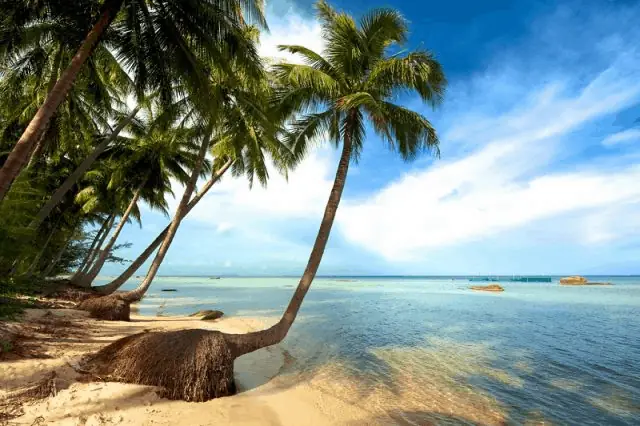 Khám Phá Bãi Sao Phú Quốc: Kinh Nghiệm Chi Tiết Từ A-z Cho Du Khách