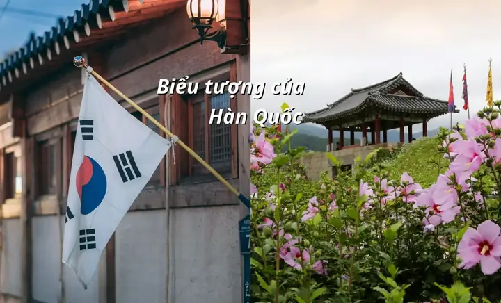 15 Biểu Tượng Đặc Trưng Nhất Của Hàn Quốc: Từ Quốc Hoa Đến Di Sản Văn Hóa 15 Biểu Tượng Đặc Trưng Nhất Của Hàn Quốc: Từ Quốc Hoa Đến Di Sản Văn Hóa