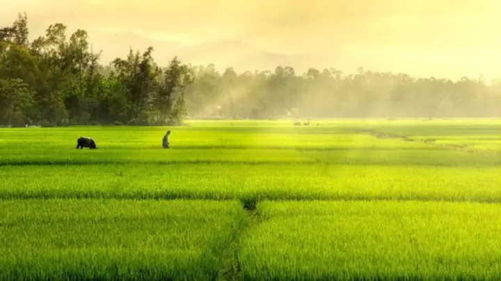 Khám Phá Vẻ Đẹp Quê Hương Nam Định: Những Hình Ảnh Tuyệt Đẹp Từ Đất Đến Người
