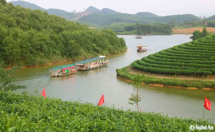Hình Ảnh Quê Hương Nghệ An Đẹp Nhất: Khám Phá Vẻ Đẹp Tự Nhiên & Di Sản Hình Ảnh Quê Hương Nghệ An Đẹp Nhất: Khám Phá Vẻ Đẹp Tự Nhiên & Di Sản