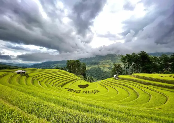 Hình Ảnh Ruộng Bậc Thang Đẹp Nhất Việt Nam: Khám Phá Tuyệt Tác Thiên Nhiên Hình Ảnh Ruộng Bậc Thang Đẹp Nhất Việt Nam: Khám Phá Tuyệt Tác Thiên Nhiên