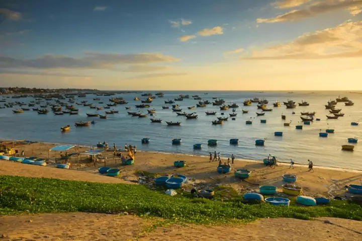 Xe Từ Hồ Chí Minh Đi Mũi Né: Tổng Hợp Các Phương Tiện & Kinh Nghiệm Di Chuyển Chi Tiết 2026 Xe Từ Hồ Chí Minh Đi Mũi Né: Tổng Hợp Các Phương Tiện & Kinh Nghiệm Di Chuyển Chi Tiết 2026