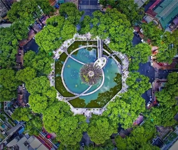 Hồ Con Rùa Ở Đâu? Vị Trí, Lịch Sử Và Kinh Nghiệm Khám Phá Tại Tp.hcm