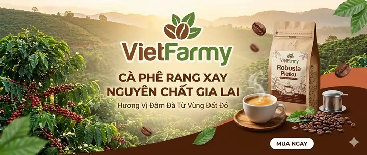 Hoa Cà Phê Nở Vào Tháng Mấy? Khám Phá Mùa Hoa Trắng Tuyệt Đẹp & Thời Điểm Lý Tưởng Hoa Cà Phê Nở Vào Tháng Mấy? Khám Phá Mùa Hoa Trắng Tuyệt Đẹp & Thời Điểm Lý Tưởng