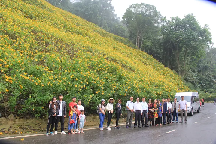 Hoa Dã Quỳ Ba Vì: Thời Điểm Lý Tưởng, Kinh Nghiệm Săn Ảnh Và Khám Phá Vườn Quốc Gia 82 Hoa Dã Quỳ Ba Vì: Thời Điểm Lý Tưởng, Kinh Nghiệm Săn Ảnh Và Khám Phá Vườn Quốc Gia