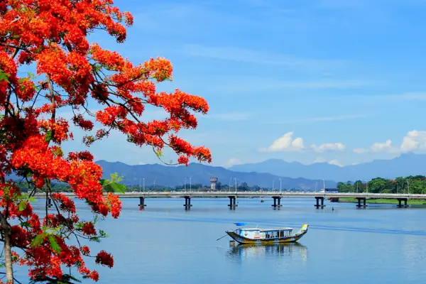 Hoa Đỗ Quyên Rừng Sông Hương: Vẻ Đẹp Thượng Nguồn & Mùa Hoa Nở 57 Hoa Đỗ Quyên Rừng Sông Hương: Vẻ Đẹp Thượng Nguồn & Mùa Hoa Nở