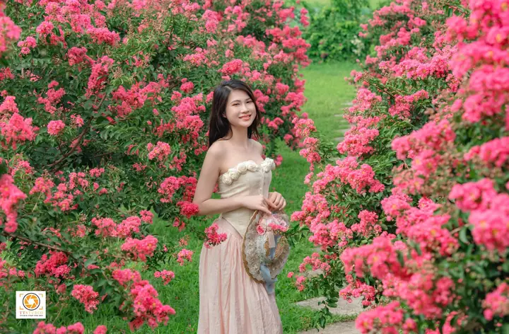 Khám Phá Vẻ Đẹp Hoa Tường Vi Hà Nội: Địa Điểm Chiêm Ngưỡng Độc Đáo Khám Phá Vẻ Đẹp Hoa Tường Vi Hà Nội: Địa Điểm Chiêm Ngưỡng Độc Đáo