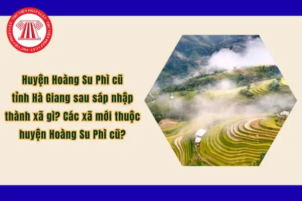 Hoàng Su Phì Thuộc Tỉnh Nào? Thông Tin Chi Tiết Về Địa Lý, Hành Chính Và Du Lịch Hoàng Su Phì Thuộc Tỉnh Nào? Thông Tin Chi Tiết Về Địa Lý, Hành Chính Và Du Lịch